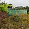 Plants: image 21 Of 208 Thumb